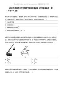 2024年安徽高三下学期高考模拟物理试卷（A10联盟最后一卷）