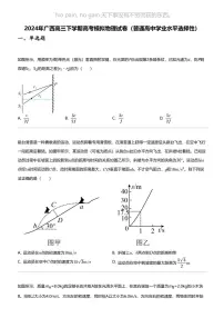 2024年广西高三下学期高考模拟物理试卷（普通高中学业水平选择性）