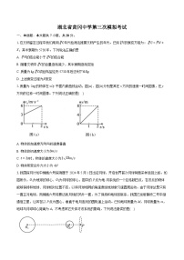 2024届湖北省黄冈中学高三下学期5月第三次模拟考试物理试题