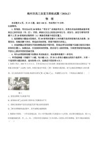 2023-2024学年广东省梅州市高三下学期一模考试物理试卷（含答案）