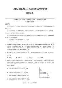 2024届湖北省部分学校高三下学期5月适应性考试（三模）物理试题