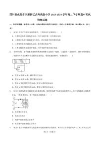 四川省成都市天府新区实外高级中学2023-2024学年高二下学期期中考试物理试题