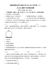 四川省成都东部新区养马高级中学2023-2024学年高一下学期期中考试物理试题（原卷版+解析版）