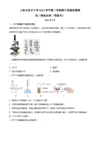 上海市进才中学2023-2024学年高二下学期期中质量检测物理试卷（等级考）