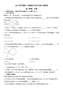 2024年上海市徐汇区高三上学期期末学习能力诊断（高考一模）物理试卷含详解