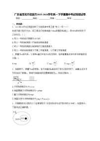 广东省茂名市信宜市2023-2024学年高一下学期期中考试物理试卷(含答案)