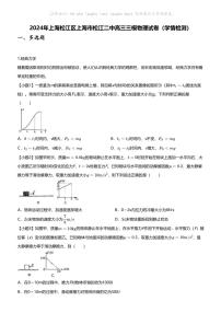 2024年上海松江区上海市松江二中高三三模物理试卷（学情检测）