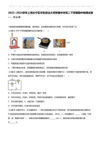 2023_2024学年上海长宁区华东政法大学附属中学高二下学期期中物理试卷