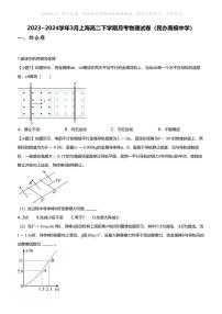 2023_2024学年3月上海高二下学期月考物理试卷（民办南模中学）