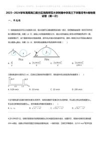 2023_2024学年海南海口美兰区海南师范大学附属中学高三下学期月考A卷物理试卷（第一次）