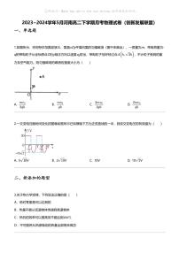 2023_2024学年5月河南高二下学期月考物理试卷（创新发展联盟）