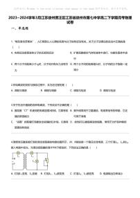 2023_2024学年3月江苏徐州贾汪区江苏省徐州市第七中学高二下学期月考物理试卷