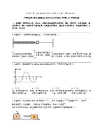 广西崇左市大新县民族高级名校2023-2024学年高二下学期5月月考物理试题