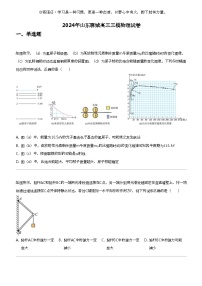 2024年山东聊城高三三模物理试卷