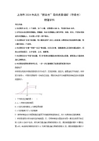 物理：上海市2023-2024学年高三“新高考”最终质量调研试卷（解析版）