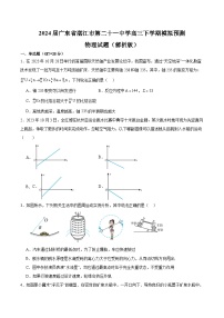 2024届广东省湛江市第二十一中学高三下学期模拟预测物理试题（解析版）