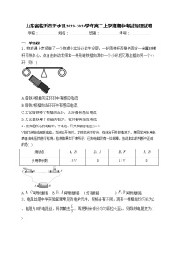 山东省临沂市沂水县2023-2024学年高二上学期期中考试物理试卷(含答案)