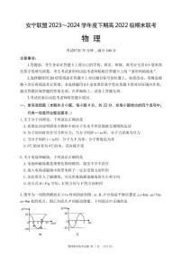 四川省凉山州安宁河联盟2023-2024学年高二下学期期末考试物理试题（含答案）