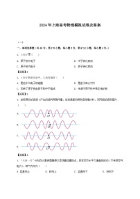 2024年上海高考物理模拟试卷及答案