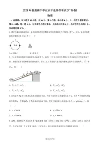 2024年新高考广西卷物理高考真题（含答案）