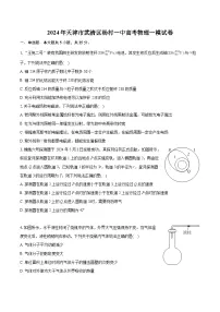2024届天津市武清区杨村第一中学高三一模物理试卷