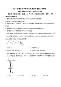 2024年高考真题——物理（湖南卷）试题（Word版附答案）