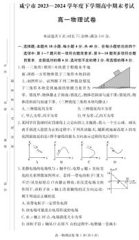 湖北咸宁2024年高一下学期期末联考物理试卷+答案