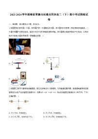 2023-2024学年湖南省常德市沅澧共同体高二（下）期中考试物理试卷（含答案）