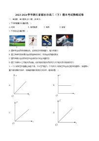 2023-2024学年浙江省丽水市高二（下）期末考试物理试卷（含答案）