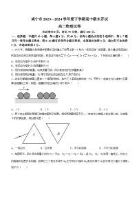 湖北省咸宁市2023-2024学年高二下学期6月期末联考物理试卷（Word版附答案）