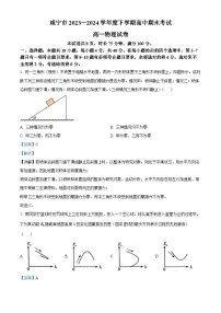 湖北省咸宁市2023-2024学年高一下学期期末联考物理试卷（Word版附解析）