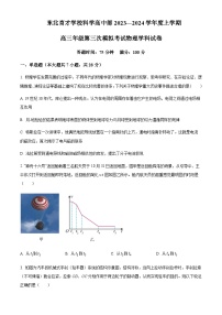 辽宁省沈阳市东北育才学校2024届高三上学期第三次模拟考试物理试题含答案