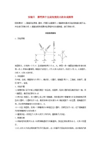 2024届鲁科版新教材高考物理一轮复习教案第二章相互作用实验三探究两个互成角度的力的合成规律