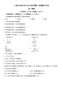 2023-2024学年上海市市西中学高一上学期期中考试物理试卷含详解