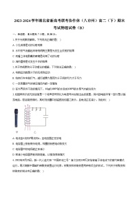 2023-2024学年湖北省新高考联考协作体（八市州）高二（下）期末考试物理试卷（B）（含答案）