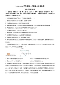 湖北省武汉市江岸区2023-2024学年高一下学期期末质量检测物理试卷（原卷版+解析版）