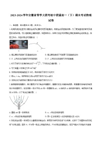 安徽省智学大联考皖中联盟2023-2024学年高一下学期期末考试物理试卷