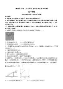 福建省莆田市2023-2024学年高一下学期期末考试物理试题(无答案)