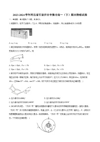 2023-2024学年河北省石家庄市辛集市高一（下）期末物理试卷（含答案）