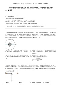 [物理]2024年四川绵阳涪城区绵阳东辰国际学校高三一模物理科物理试卷