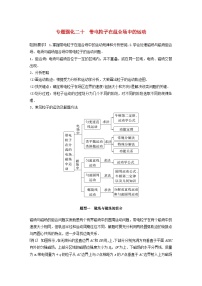 2024届高考物理一轮复习教案第十一章专题强化二十带电粒子在组合场中的运动（粤教版新教材）