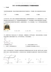 [物理][期末]2023_2024学年山东青岛即墨区高二下学期期末物理试卷