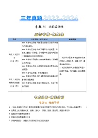 专题35光的波动性-三年（2022-2024）高考物理真题分类汇编（全国通用）