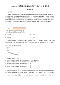 湖北省实验中学2024-2025学年高三上学期起点7月质量检测物理试卷（Word版附解析）