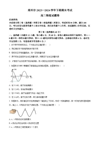 河南省郑州市2023-2024学年高二下学期6月期末考试物理试卷（Word版附解析）