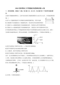 [物理]湖南省衡阳市衡阳县第二中学2024～2025学年高三上学期开学摸底考试物理试卷A卷(有答案)