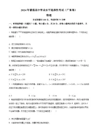 2024年新高考广东卷物理高考真题解析（原卷+解析）