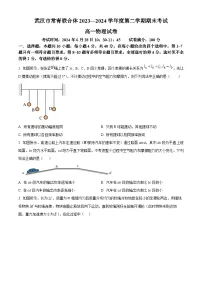 湖北省武汉市常青联合体2023-2024学年高一下学期期末考试物理试卷（原卷版）