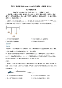 湖北省武汉市常青联合体2023-2024学年高一下学期期末考试物理试卷（解析版）