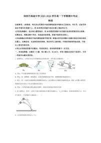 [物理][期中]广东省深圳市高级中学2023～2024学年高一下学期期中考试物理试题(有答案)